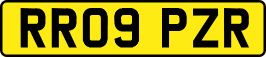 RR09PZR