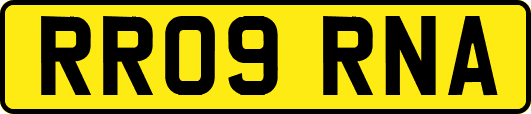 RR09RNA