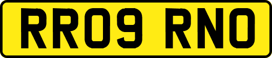 RR09RNO