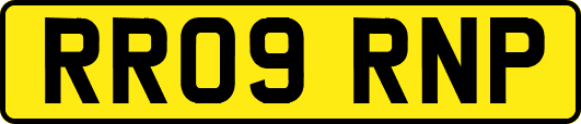 RR09RNP