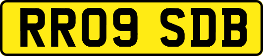 RR09SDB
