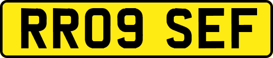 RR09SEF