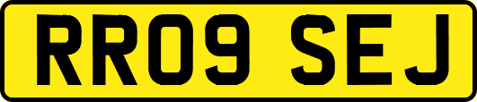 RR09SEJ