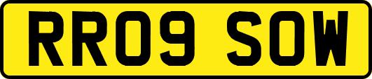 RR09SOW