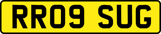 RR09SUG