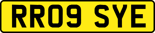 RR09SYE