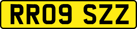 RR09SZZ