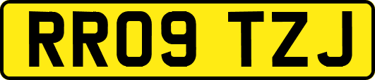 RR09TZJ