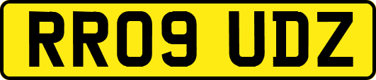 RR09UDZ