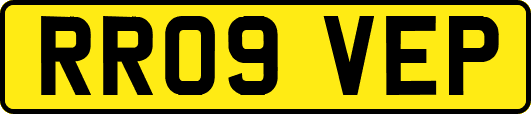 RR09VEP