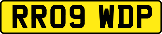 RR09WDP