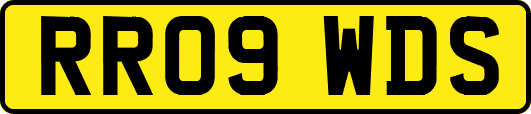 RR09WDS