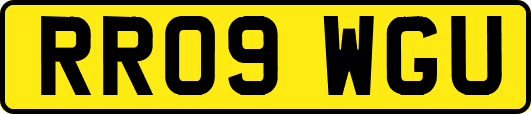 RR09WGU