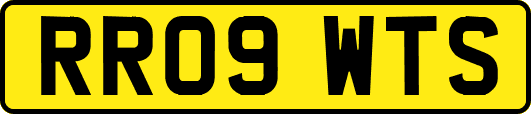 RR09WTS