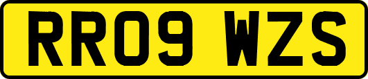 RR09WZS