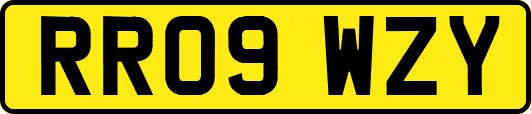 RR09WZY