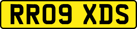 RR09XDS