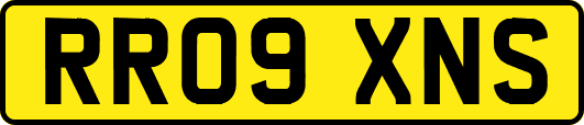 RR09XNS