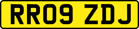 RR09ZDJ