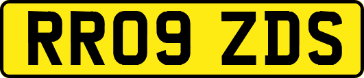 RR09ZDS