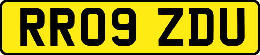 RR09ZDU