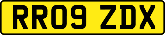 RR09ZDX