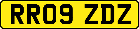 RR09ZDZ