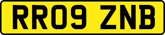 RR09ZNB