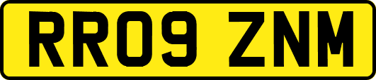 RR09ZNM