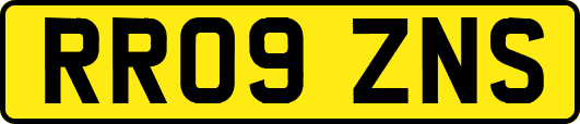 RR09ZNS