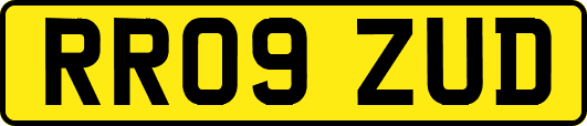 RR09ZUD