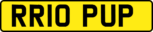 RR10PUP