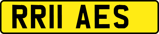 RR11AES