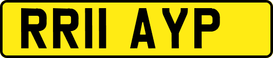RR11AYP