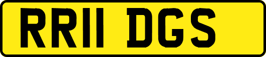 RR11DGS