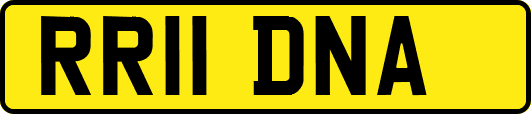 RR11DNA
