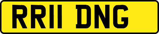 RR11DNG