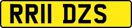 RR11DZS