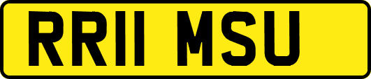RR11MSU