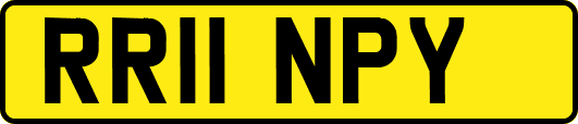RR11NPY