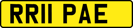 RR11PAE