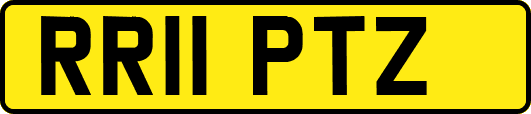 RR11PTZ