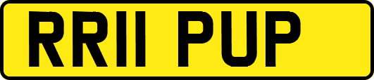 RR11PUP