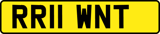 RR11WNT