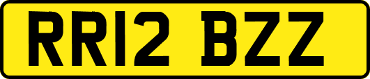 RR12BZZ