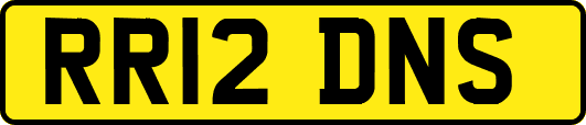 RR12DNS