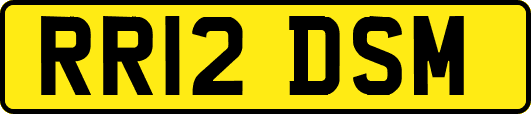 RR12DSM