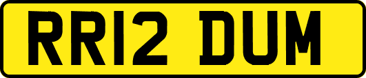 RR12DUM