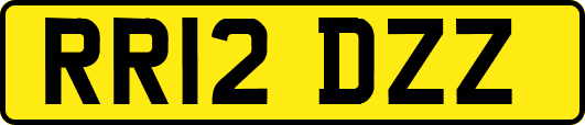 RR12DZZ