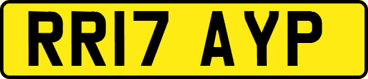 RR17AYP
